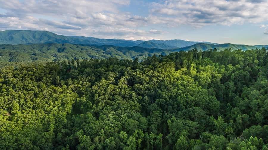 View! Private! Hot Tub,Pool Table,Fireplace,Relax! Sevierville Buitenkant foto